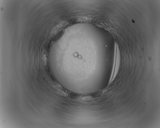 X0000067350716200604131751