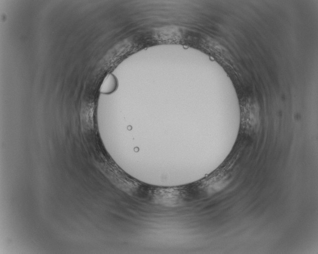 X0000067350717200604131750