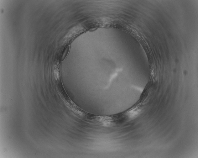 X0000067350719200604131750