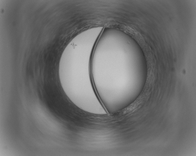 X0000067350720200604131750