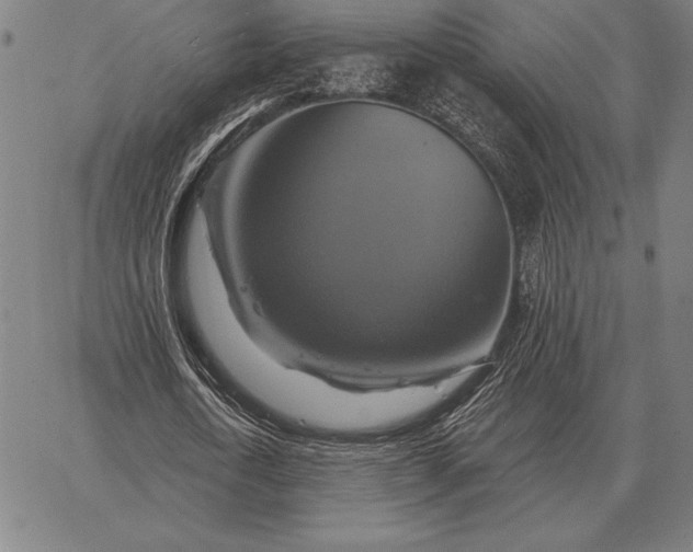 X0000067350722200604131750