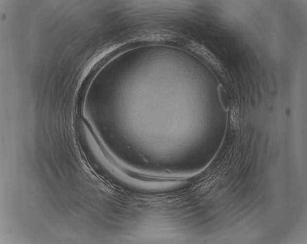 X0000067350724200604131750