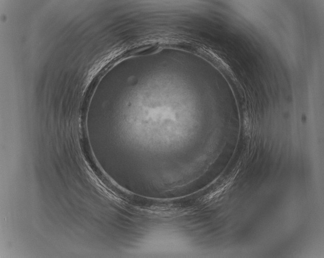 X0000067350725200604131750