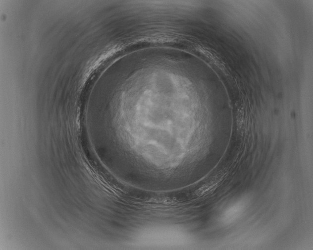 X0000067350727200604131750