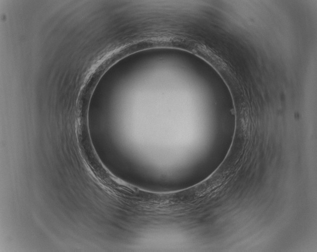 X0000067350728200604131750