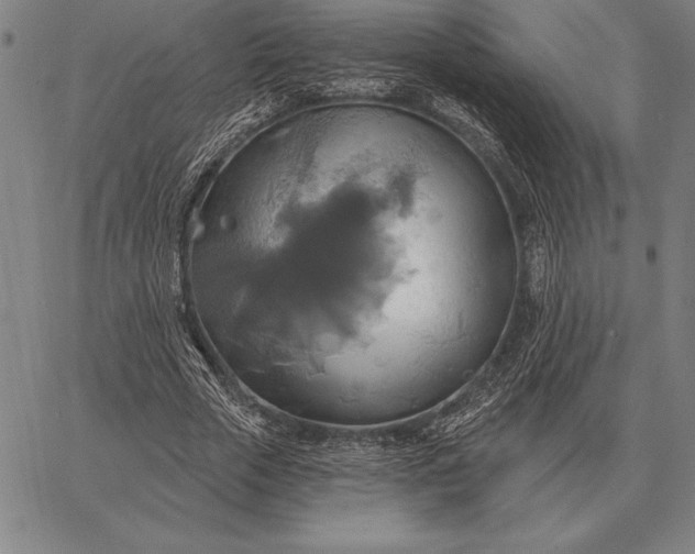 X0000067350729200604131750