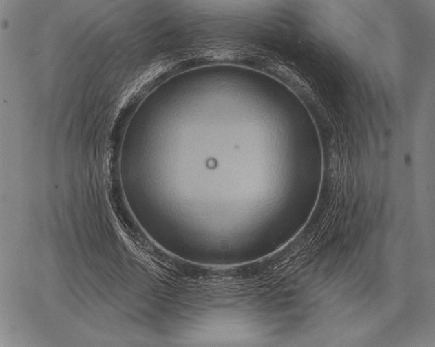 X0000067350730200604131750