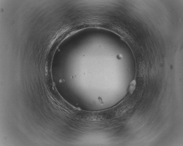 X0000067350731200604131750