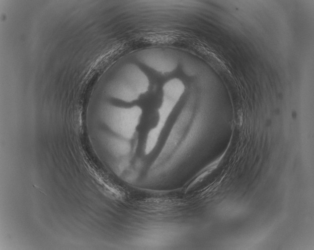 X0000067350733200604131750