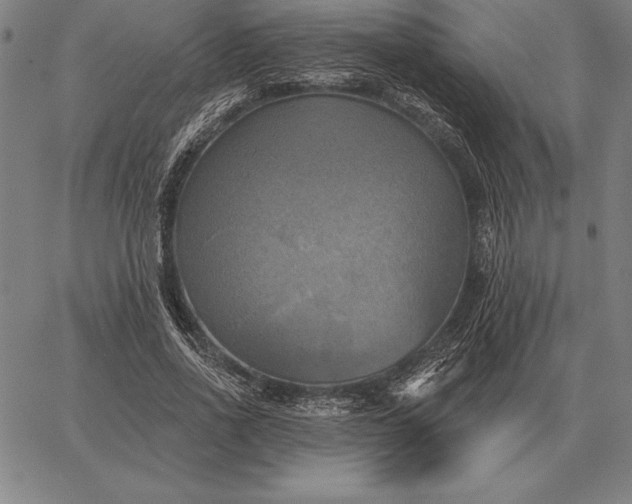 X0000067350734200604131750