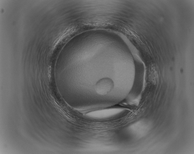 X0000067350735200604131750