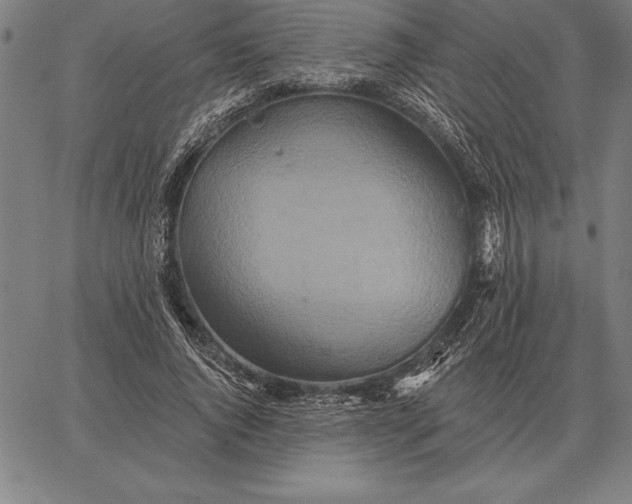 X0000067350736200604131750