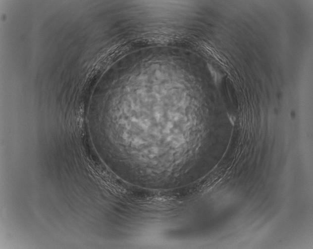 X0000067350737200604131750