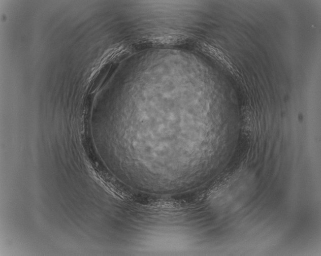 X0000067350738200604131750