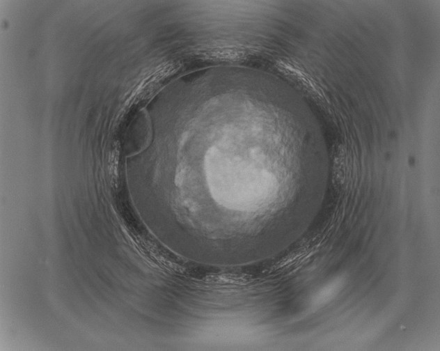 X0000067350739200604131750