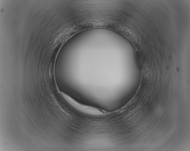 X0000067350740200604131750