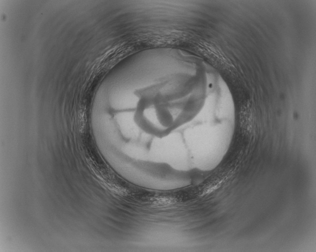 X0000067350741200604131750