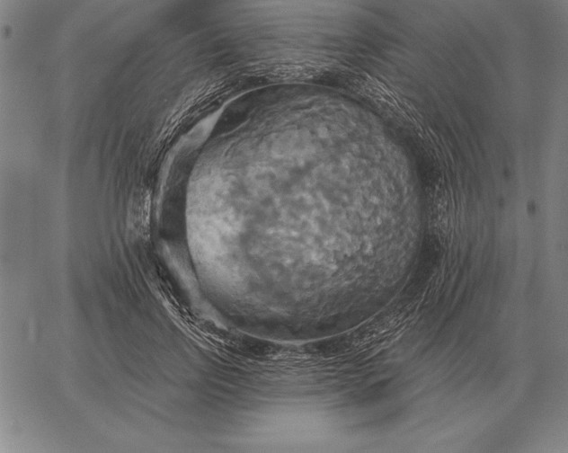 X0000067350742200604131750