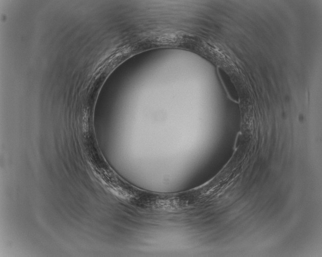 X0000067350744200604131750