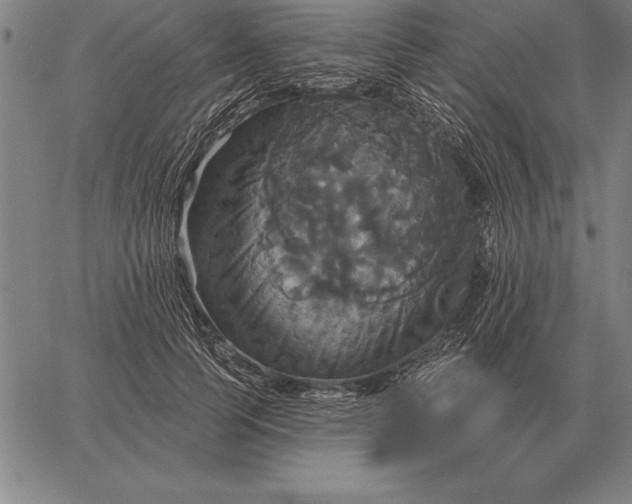 X0000067350745200604131750