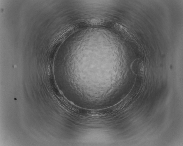 X0000067350746200604131750