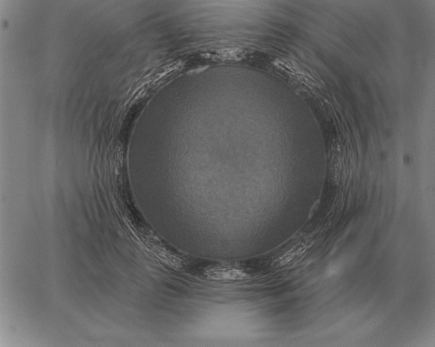 X0000067350747200604131750