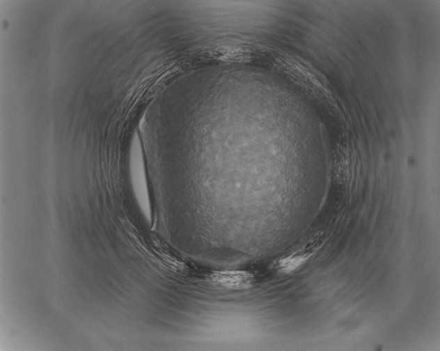 X0000067350748200604131750