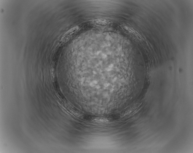 X0000067350749200604131750