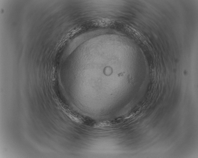 X0000067350750200604131750