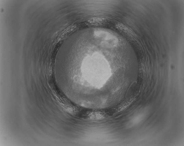 X0000067350751200604131750