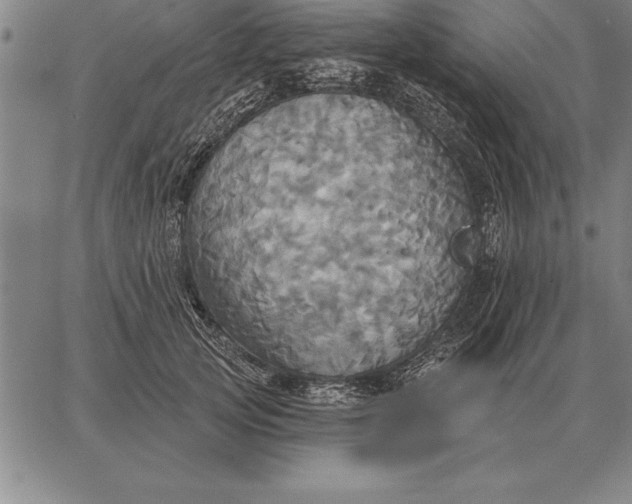 X0000067350753200604131750