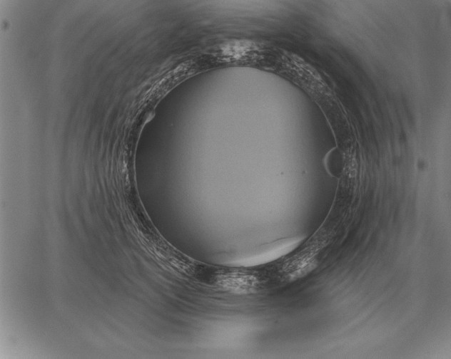 X0000067350754200604131750