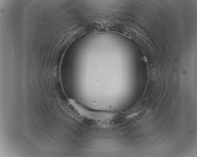 X0000067350756200604131750