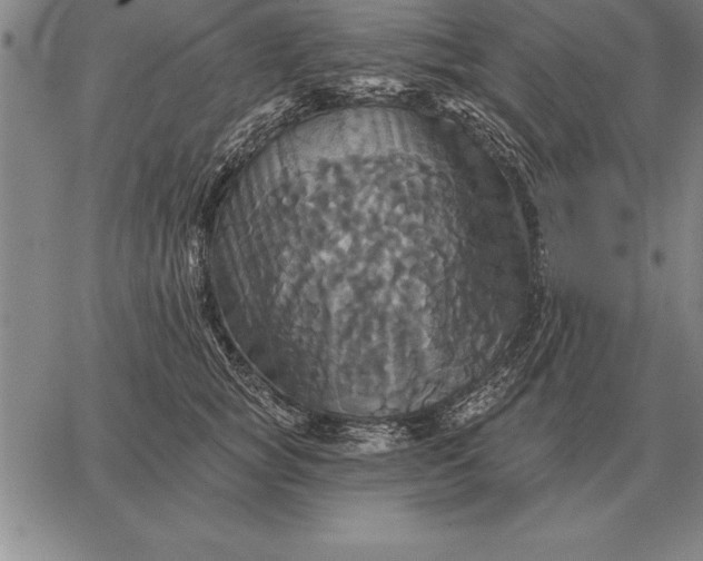 X0000067350757200604131750