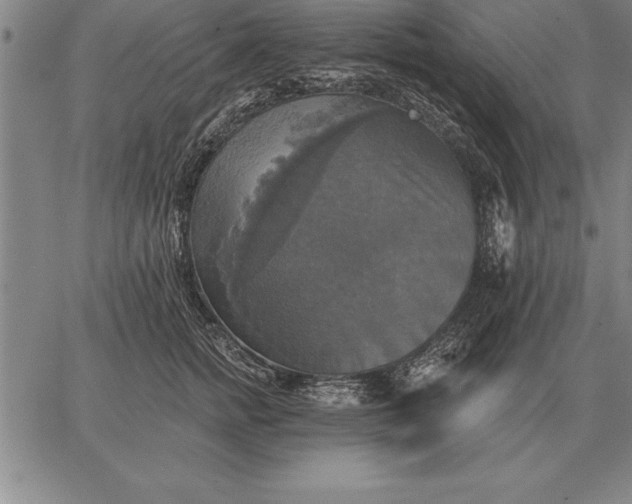 X0000067350758200604131750