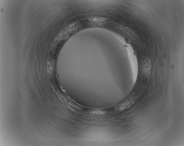 X0000067350759200604131750