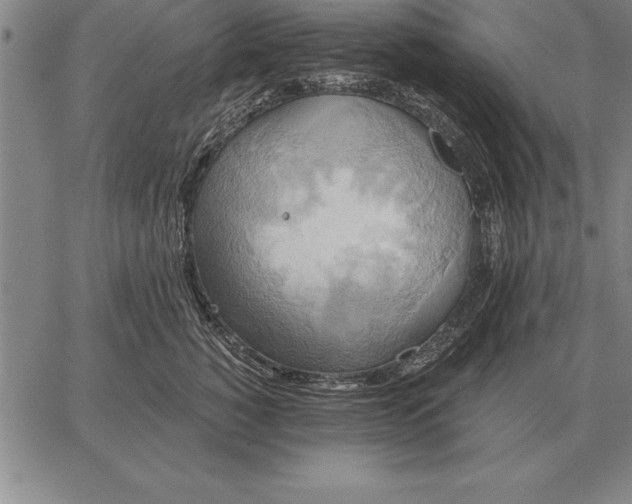 X0000067350760200604131750