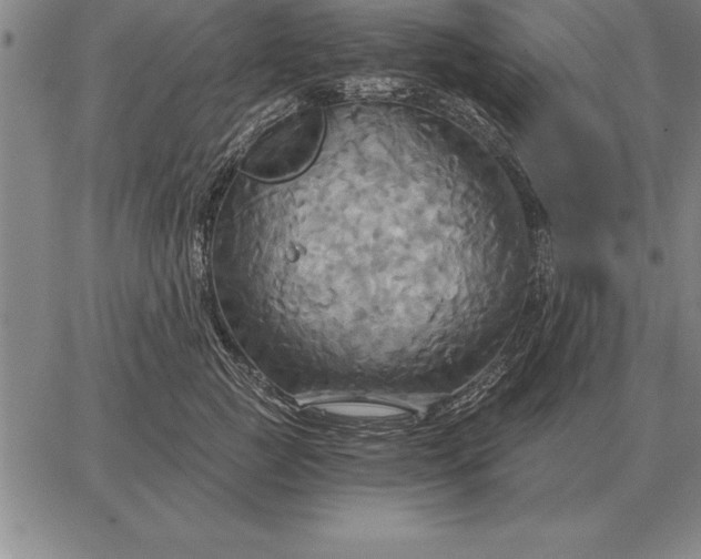 X0000067350761200604131750