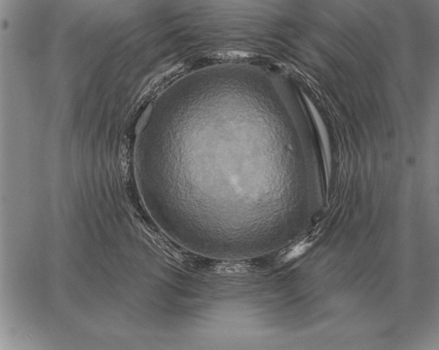 X0000067350762200604131750