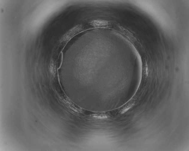 X0000067350763200604131750