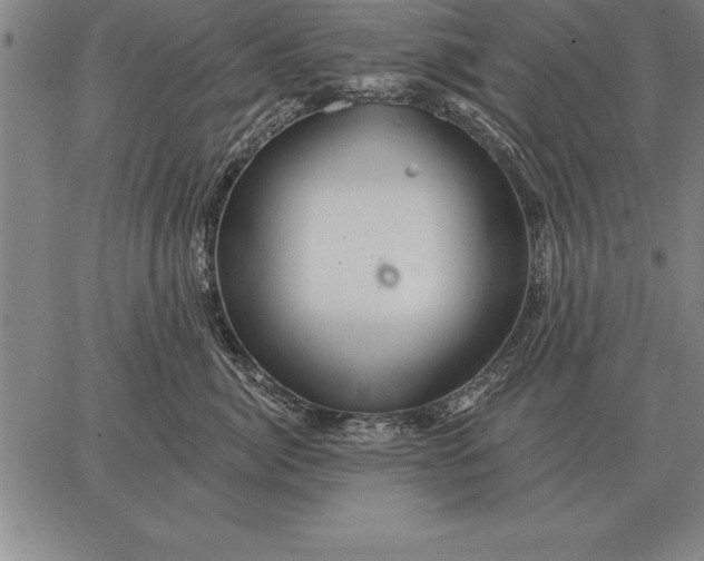 X0000067350764200604131750