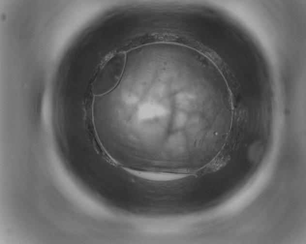 X0000067350765200604131750