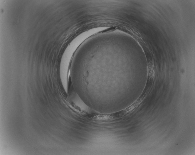 X0000067350766200604131750