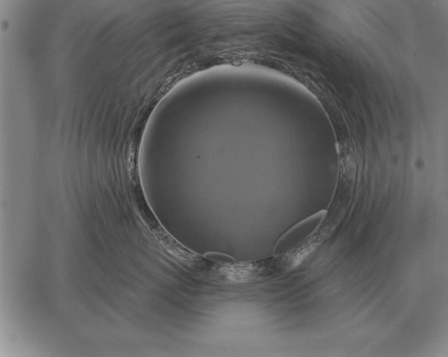 X0000067350767200604131750