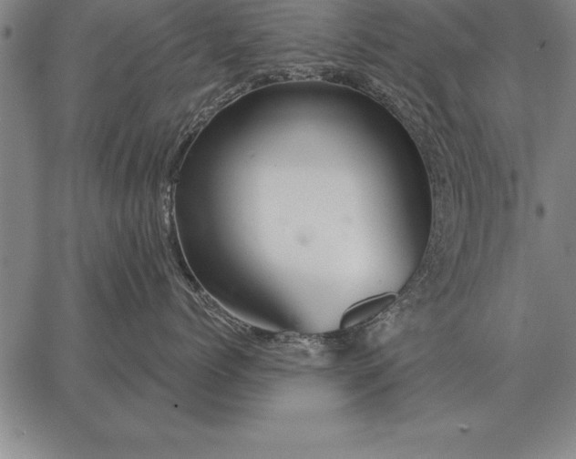 X0000067350768200604131750