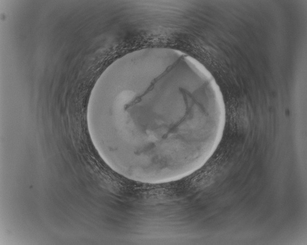 X0000067350769200604131750