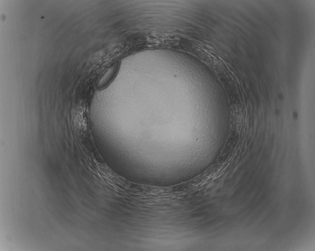 X0000067350770200604131750