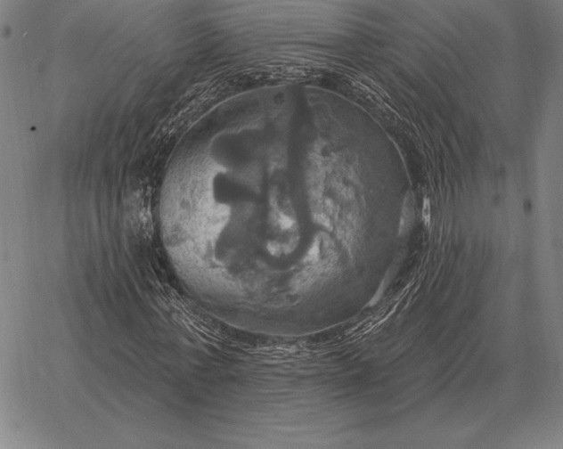 X0000067350771200604131750