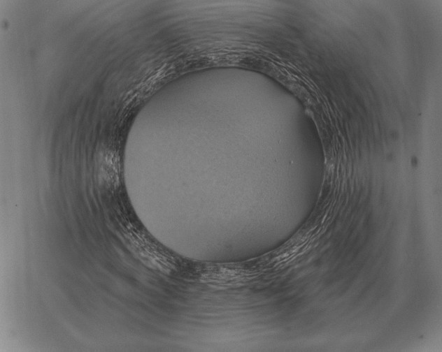 X0000067350772200604131750