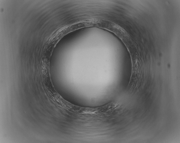 X0000067350773200604131750